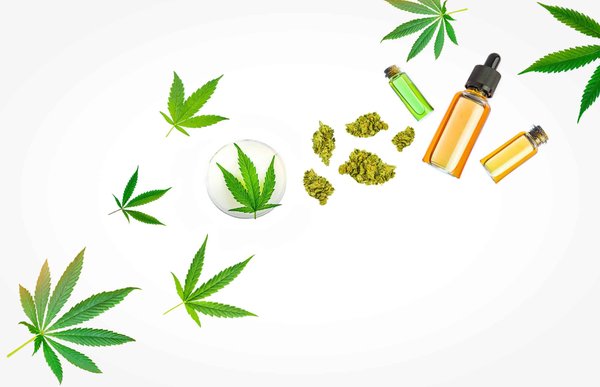 CBD et féminité : qu'apporte le CBD aux femmes ?